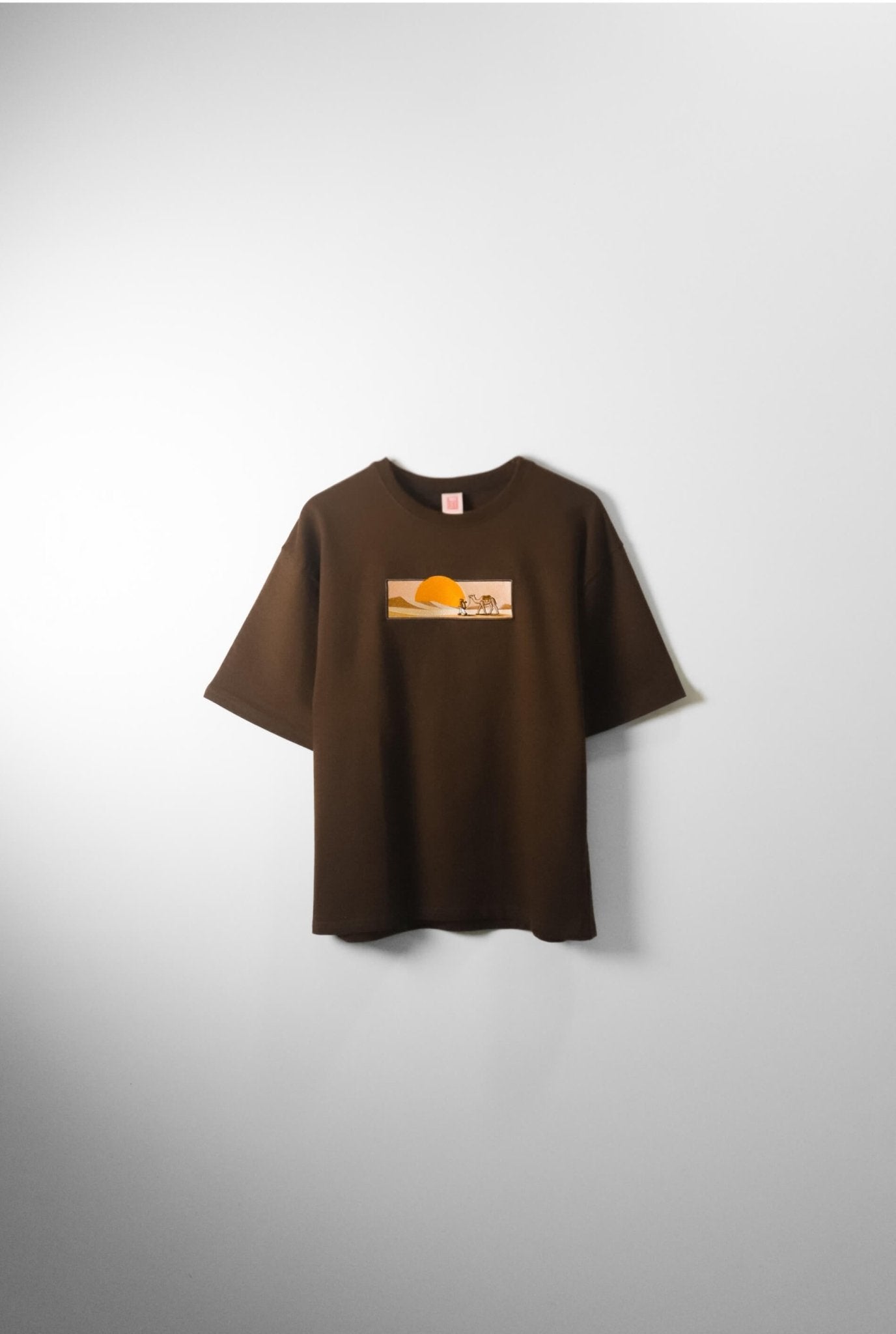 Desert Sun Embroidered Oversized T-Shirt — Brown | AnyaLook Oversized Tshirt